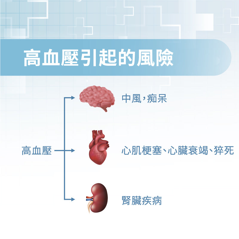 衛利 智慧型手臂式血壓計-ikare-血壓監測系統｜健康e學院